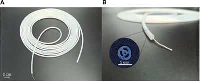 A Soft Pneumatic Two-Degree-of-Freedom Actuator for Endoscopy
